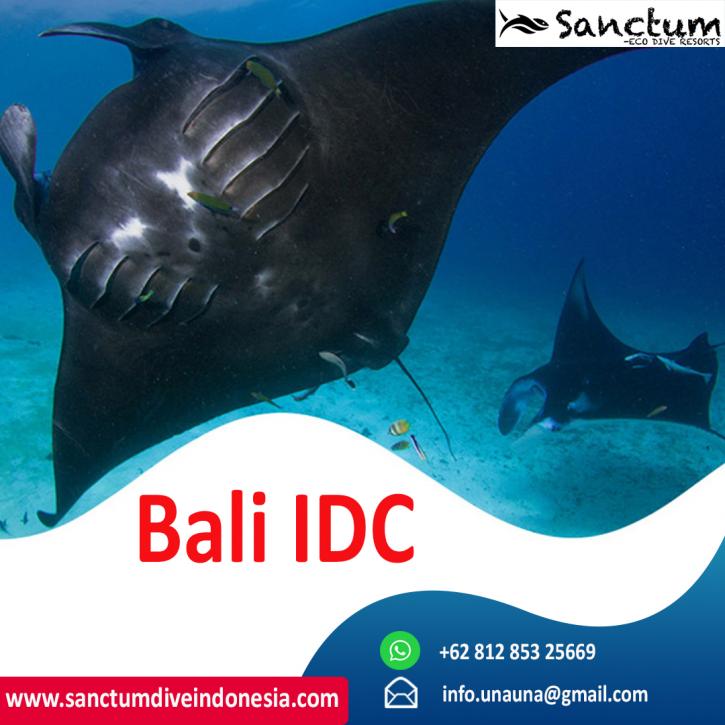 Image for Bali IDC with ID of: 4690728