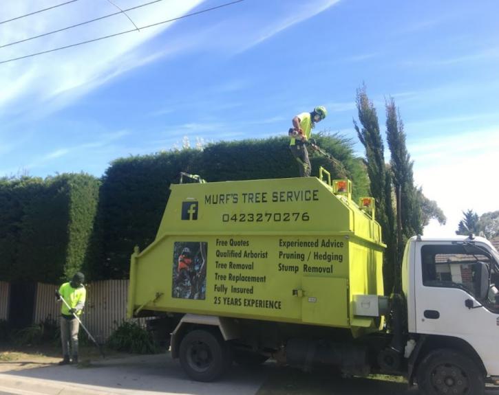 Image for Murf’s Tree Service with ID of: 4697060