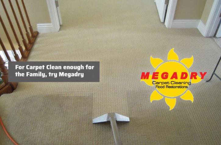 Image for Megadry Carpet Cleaning with ID of: 4700265
