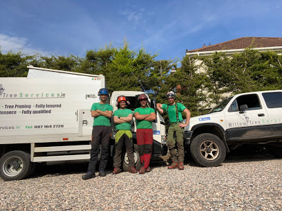 Image for Willow Tree Services with ID of: 4707919