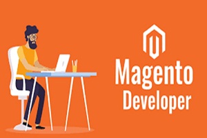Image for Unique features of Magento that make it the most popular platform for ecommerce with ID of: 4712469