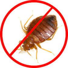 Image for Coronavirus Impact on Global Bed Bug Control Products and Services Market Size, Status and Forecast 2021 with ID of: 4715369