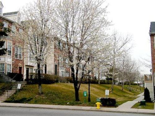 Image for 2 or 3 bedroom 2.5 bath society Hill Townhouse with ID of: 471674