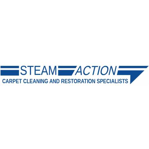 Image for Steam Action Carpet Cleaning with ID of: 4719090