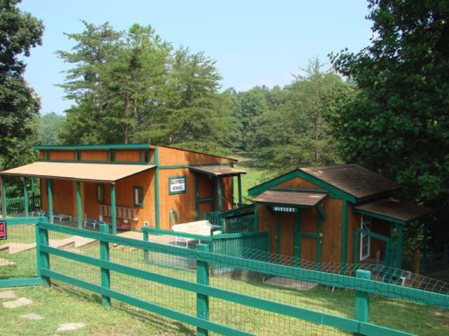 Image for Murphy NC Kennel Business with 2 Bedroom Home with ID of: 471916