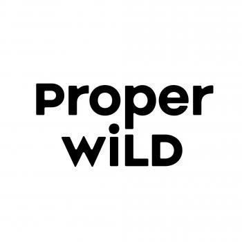 Image for Proper Wild with ID of: 4719375
