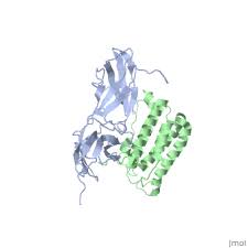 Image for Interferon Market 2021 Future Estimations, Drivers and Growth Opportunities Till 2026 with ID of: 4719893