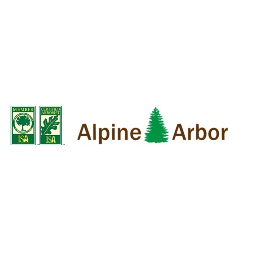 Image for Alpine Arbor LLC with ID of: 4722362