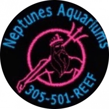 Image for Neptunes Aquariums with ID of: 4723445