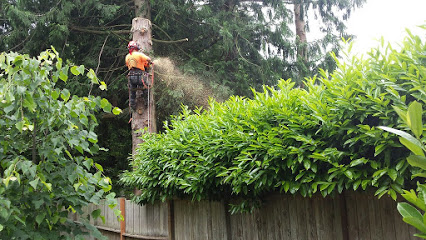 Image for Ger Fahey & Son Tree Services with ID of: 4724801