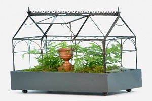 terrarium containers