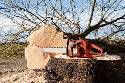 Image for Worrell Tree Services & Hedgecutting with ID of: 4739118
