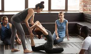 Image for Trini Yoga with ID of: 4742293