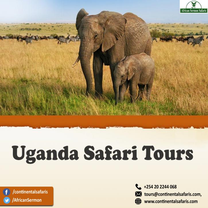 Image for Uganda Safari Tours with ID of: 4760350