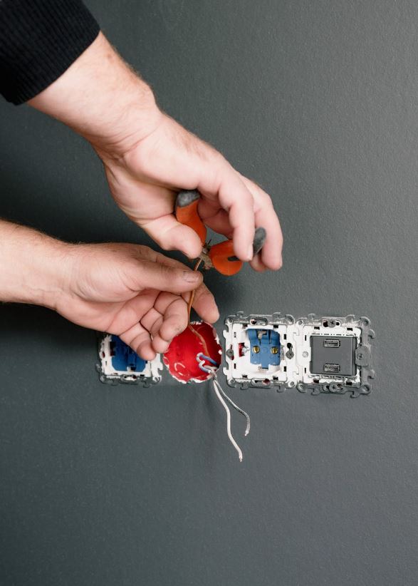 Image for LM Electrical and Maintenance with ID of: 4768122