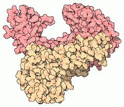 Image for Global Reverse Transcriptase  Market Research Report - Industry Analysis, Size, Share, Growth, Trends and Forecast Till 2027 with ID of: 4772385