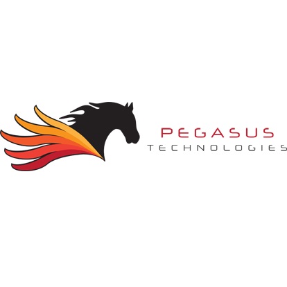 Image for Pegasus Technologies with ID of: 4778017
