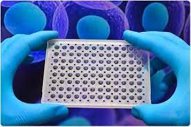 Image for Global Protein Microarray  Market Research Report - Industry Analysis, Size, Share, Growth, Trends and Forecast Till 2027 with ID of: 4784172