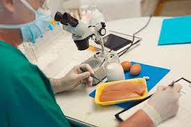Image for Food Pathogen Testing Market Share, Trends, Product Estimates & Strategy Framework To, 2021-2026 with ID of: 4792284