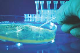 Image for Microbial Technology Product Market Size, Demand, Growth And Industry Development Trends By 2021-2026 with ID of: 4795614