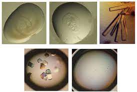 Image for Global Protein Crystallization and Crystallography Market Share is Expected To Get Massive Growth Profits by 2026 with ID of: 4799997