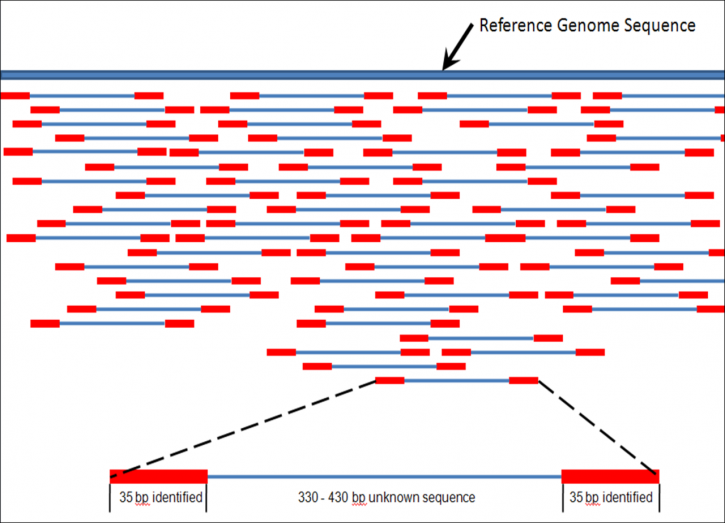 Image for Next Generation Sequencing Market Growth Insight Forecast To 2025 | COVID19 Impact Analysis with ID of: 4801944