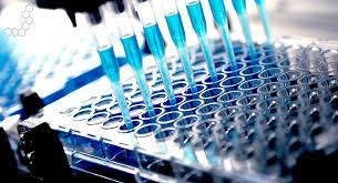 Image for 2021-2027 Global Bioanalytical Services Market Forecast Report with ID of: 4803169