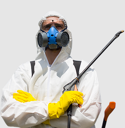 Image for Emergency Pest Control with ID of: 4806499