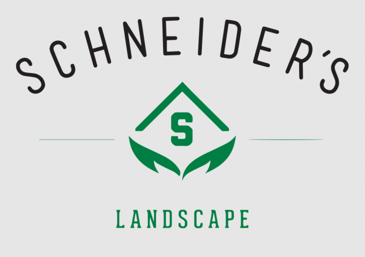 Image for Schneider's Landscape with ID of: 4812315