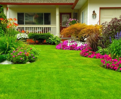 Image for Best Lawn maintenance in Gordon Head with ID of: 4813163