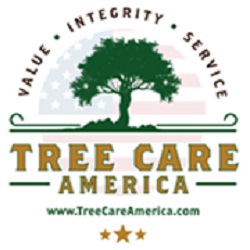 Image for Tree Care America with ID of: 4813255