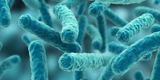 Image for Global Microbial Control Market Share is Expected To Get Massive Growth Profits by 2026 with ID of: 4813360