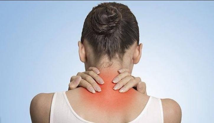 Image for Active Physiotherapy & Wellness with ID of: 4815034