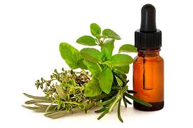 Image for Global Plant Extracts Market Share is Expected To Get Massive Growth Profits by 2026 with ID of: 4817779