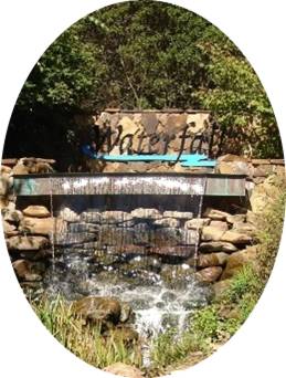 Image for The Waterfall Subdivision in Irmo, SC with ID of: 481845