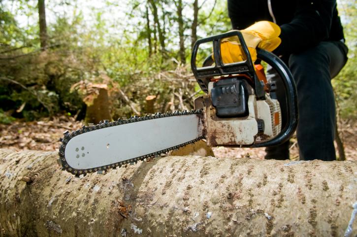 Image for Tree Services in Denton TX with ID of: 4818645
