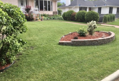 Image for Best Tree Services in Queen Mary Park with ID of: 4823584