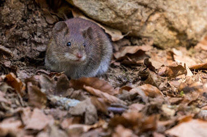 Image for Premiere Pest Patrol with ID of: 4823601
