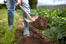 Image for Global Garden Digging Tools Market Report, Recent Trends, Opportunity, and Segment Forecast to 2027 with ID of: 4830866