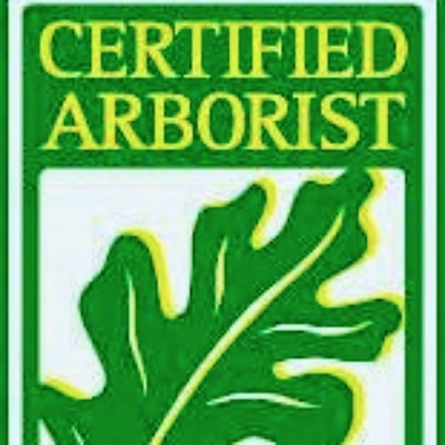 Image for Elite Tree Care LLC with ID of: 4834208