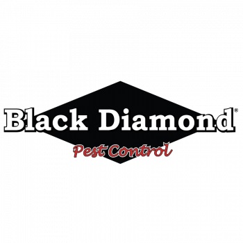 Image for Black Diamond Pest Control with ID of: 4840570