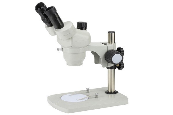 Image for Fluorescence Lifetime Imaging Microscopy Market Size, Demand, Growth And Industry Development Trends By 2021-2026 with ID of: 4847067