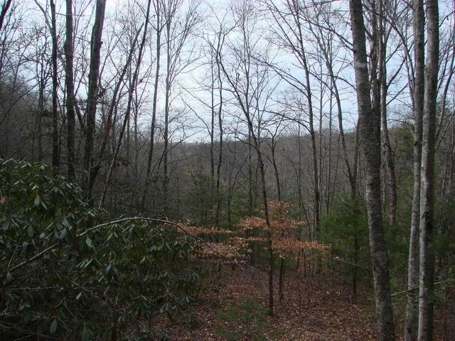 Image for 1298 Bates Creek Road, Murphy NC Land For Sale with ID of: 485084