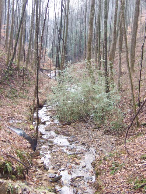 Image for 140.7 Acres On Pendergrass Road - Land For Sale Murphy NC with ID of: 485192