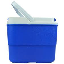 Image for Ice Storage Boxes Market Size, Demand, Growth And Industry Development Trends By 2021-2026 with ID of: 4852044