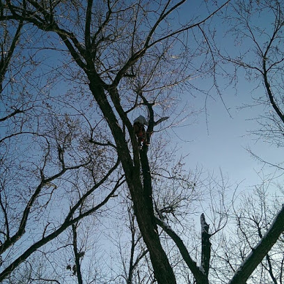 Image for Busy B Trees with ID of: 4856205