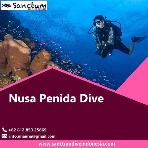 Image for Nusa Penida Dive with ID of: 4857045