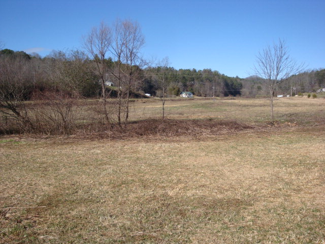Image for Murphy NC Creek and Pasture Land Available with ID of: 485806