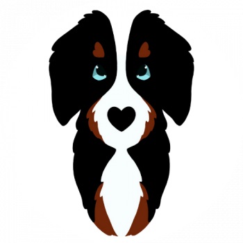 Image for LK Bernedoodles with ID of: 4873491