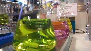 Image for 2021-2027 Global EAA Copolymers Market Analysis Report with ID of: 4877813